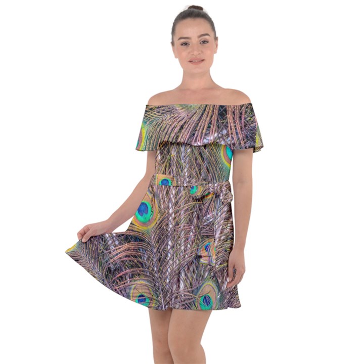 Pen Peacock Wheel Plumage Colorful Off Shoulder Velour Dress