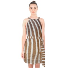 Skin Zebra Striped White Brown Halter Collar Waist Tie Chiffon Dress by Pakrebo