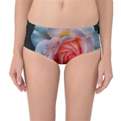 Favorite Rose  Mid-waist Bikini Bottoms