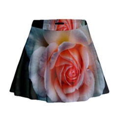 Favorite Rose  Mini Flare Skirt