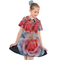 Favorite Rose  Kids  Short Sleeve Shirt Dress by okhismakingart