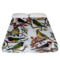 Vintage Birds Fitted Sheet (queen Size) by Valentinaart