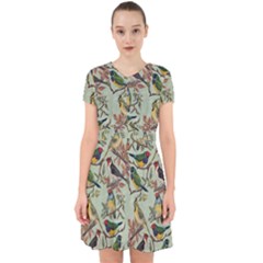 Vintage Birds Adorable In Chiffon Dress