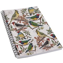 Vintage Birds 5 5  X 8 5  Notebook by Valentinaart