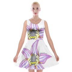 Flower And Insects Velvet Skater Dress by okhismakingart