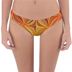 Electric Field Art XLV Reversible Hipster Bikini Bottoms