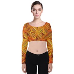 Electric Field Art XLV Velvet Long Sleeve Crop Top