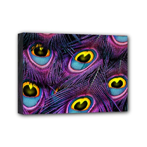 Peacock Feathers Purple Mini Canvas 7  X 5  (stretched) by snowwhitegirl