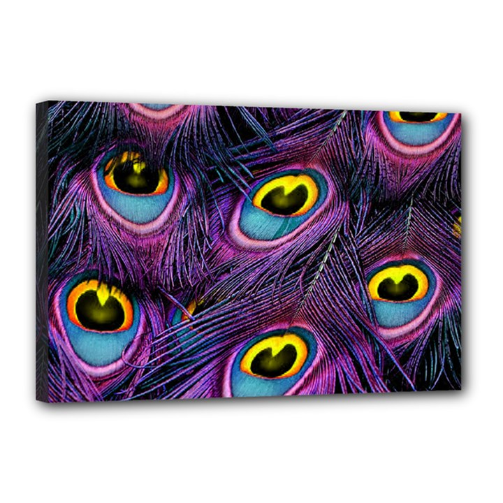 Peacock Feathers Purple Canvas 18  x 12  (Stretched)