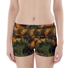 Bunch of Sunflowers Boyleg Bikini Wrap Bottoms