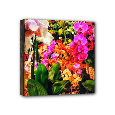 Orchids in the Market Mini Canvas 4  x 4  (Stretched)
