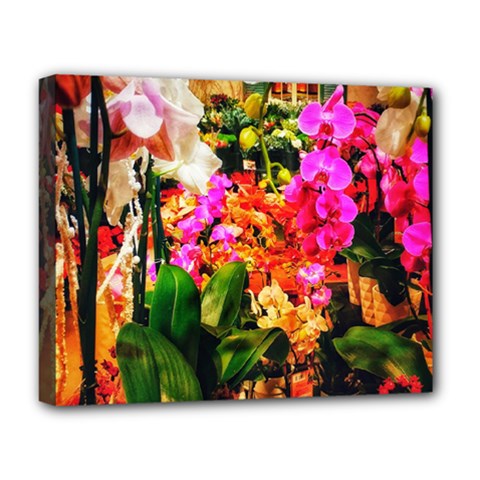 Orchids in the Market Deluxe Canvas 20  x 16  (Stretched)