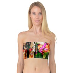 Orchids in the Market Bandeau Top