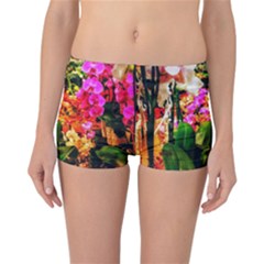 Orchids in the Market Reversible Boyleg Bikini Bottoms