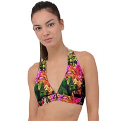 Orchids in the Market Halter Plunge Bikini Top