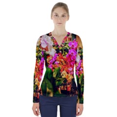 Orchids in the Market V-Neck Long Sleeve Top