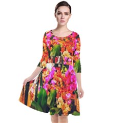 Orchids in the Market Quarter Sleeve Waist Band Dress