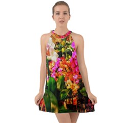 Orchids in the Market Halter Tie Back Chiffon Dress