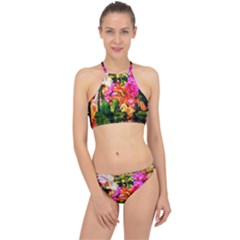 Orchids in the Market Racer Front Bikini Set
