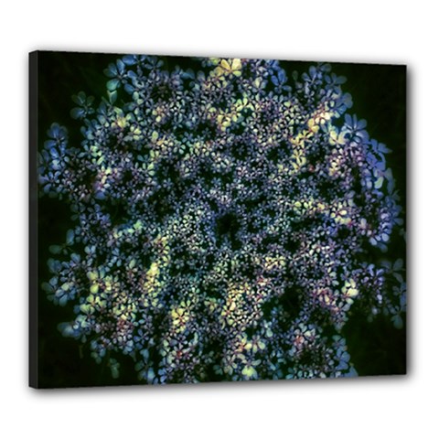 Queen Annes Lace In Blue And Yellow Canvas 24  X 20  (stretched) by okhismakingart