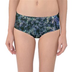Queen Annes Lace In Blue And Yellow Mid-waist Bikini Bottoms by okhismakingart