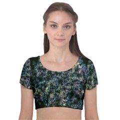 Queen Annes Lace In Blue And Yellow Velvet Short Sleeve Crop Top  by okhismakingart