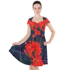 Neon Orange Butterfly Weed Cap Sleeve Midi Dress by okhismakingart