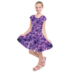 Queen Annes Lace In Purple And White Kids  Short Sleeve Dress by okhismakingart