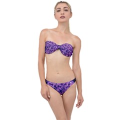 Queen Annes Lace In Purple And White Classic Bandeau Bikini Set by okhismakingart