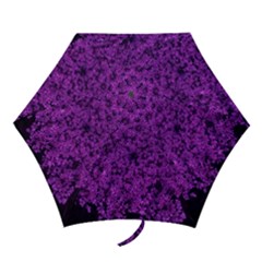 Queen Annes Lace In Purple Mini Folding Umbrellas by okhismakingart