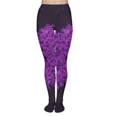 Queen Annes Lace In Purple Tights by okhismakingart