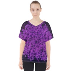 Queen Annes Lace In Purple V-neck Dolman Drape Top