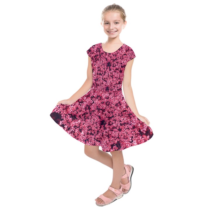 Queen Annes Lace in Red Part II Kids  Short Sleeve Dress
