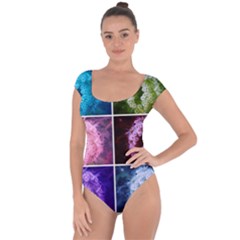 Closing Queen Annes Lace Collage (Vertical) Short Sleeve Leotard 