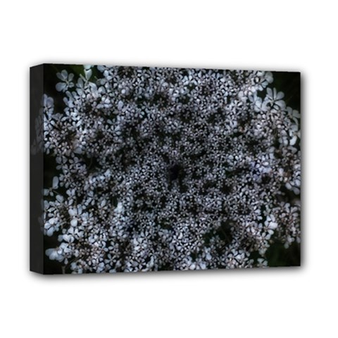 Queen Annes Lace In White Deluxe Canvas 16  X 12  (stretched)  by okhismakingart