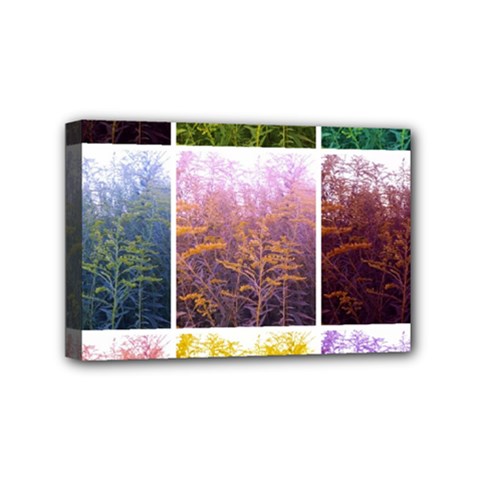 Goldenrod Collage Mini Canvas 6  X 4  (stretched) by okhismakingart