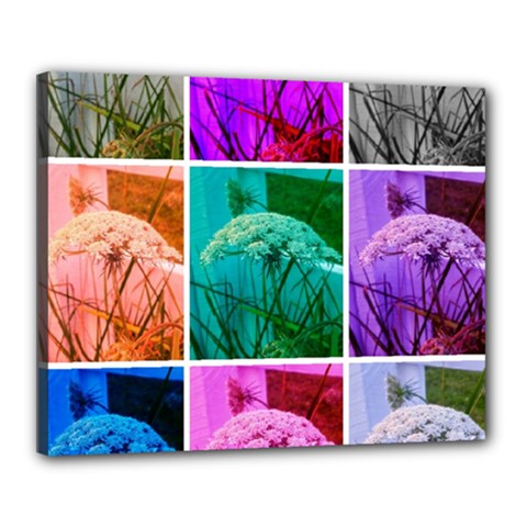 Color Block Queen Annes Lace Collage Canvas 20  X 16  (stretched) by okhismakingart