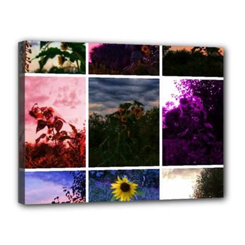 Sunflower Collage Canvas 16  X 12  (stretched) by okhismakingart