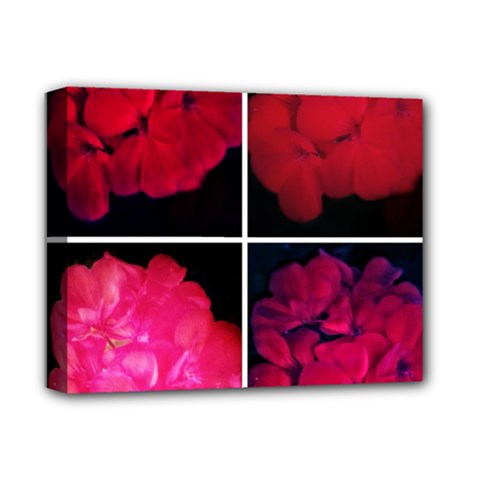 Geranium Collage Deluxe Canvas 14  X 11  (stretched) by okhismakingart