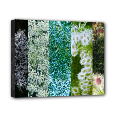 Queen Annes Lace Vertical Slice Collage Canvas 10  X 8  (stretched)
