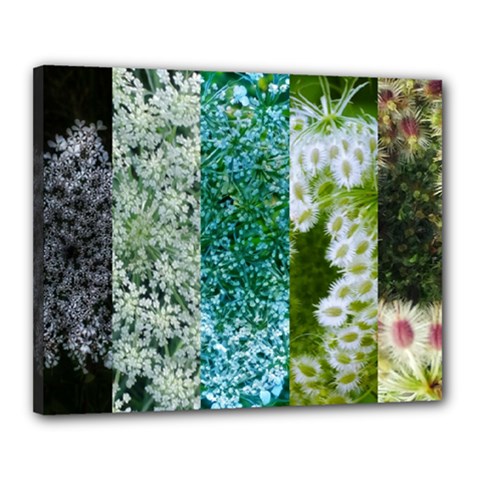 Queen Annes Lace Vertical Slice Collage Canvas 20  X 16  (stretched) by okhismakingart