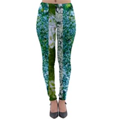 Queen Annes Lace Vertical Slice Collage Lightweight Velour Leggings by okhismakingart