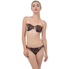 Queen Annes Lace Horizontal Slice Collage Classic Bandeau Bikini Set by okhismakingart