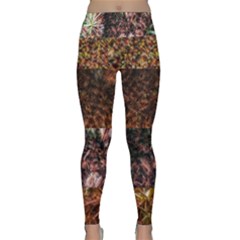 Queen Annes Lace Horizontal Slice Collage Lightweight Velour Classic Yoga Leggings by okhismakingart