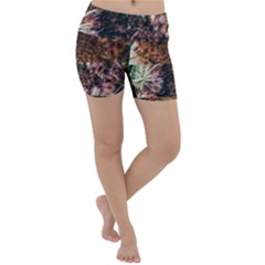 Queen Annes Lace Horizontal Slice Collage Lightweight Velour Yoga Shorts by okhismakingart