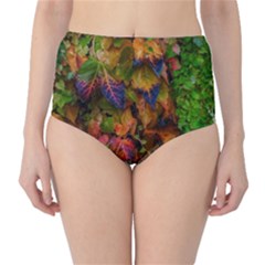 Fall Ivy Classic High-waist Bikini Bottoms by okhismakingart