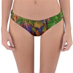 Fall Ivy Reversible Hipster Bikini Bottoms by okhismakingart