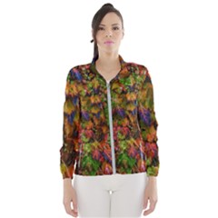 Fall Ivy Women s Windbreaker by okhismakingart