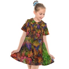 Fall Ivy Kids  Short Sleeve Shirt Dress by okhismakingart