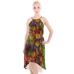 Fall Ivy High-low Halter Chiffon Dress  by okhismakingart